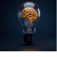 IDA Strategy Logo